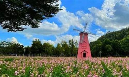 顺峰山公园油菜花_顺峰山公园油菜花开了吗