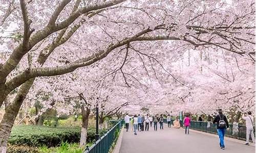 青岛中山公园旅游_青岛中山公园旅游路线图