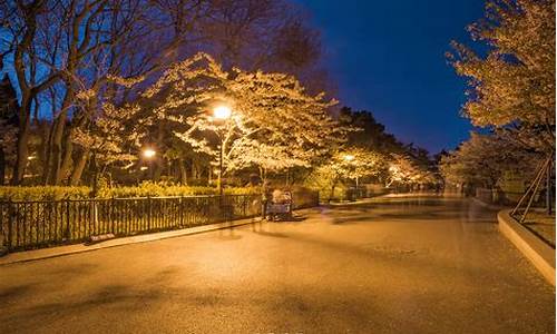 青岛中山公园晚上_青岛中山公园晚上有灯光吗