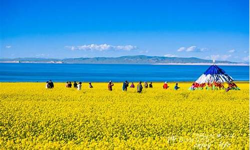 西宁攻略旅游自由行_西宁攻略旅游自由行路线