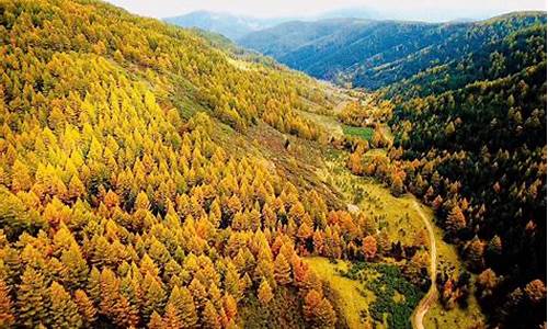 芦芽山风景区门票价格一览表_芦芽山风景区门票价格一览表最新