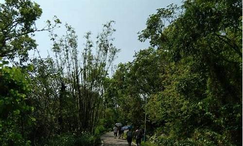 珠海石花山公园谁建设_珠海石花山公园谁建设的