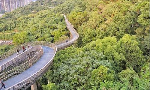 福州金牛山公园栈道_福州金牛山公园栈道图片