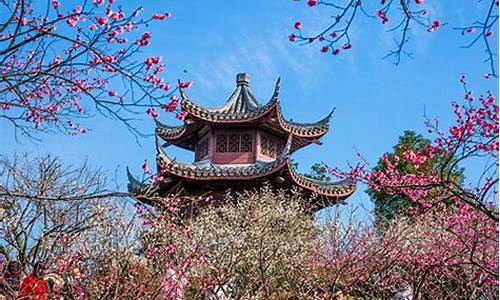 余杭超山风景区门票_余杭超山风景区门票优惠政策