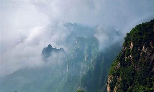 王莽岭景区简介天气情况_王莽岭景区简介天气情况介绍