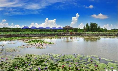 万顷沙城市湿地公园_万顷沙城市湿地公园在哪里