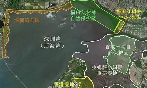 深圳红树林公园需要预约_深圳红树林公园需要预约吗