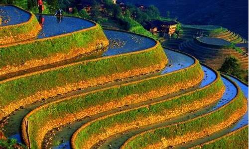 桂林旅游路线龙脊梯田最新消息_桂林旅游攻略必去景点龙脊梯田