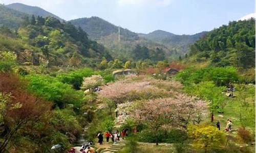 梅岭风景区一日游攻略图_梅岭风景区一日游攻略图片