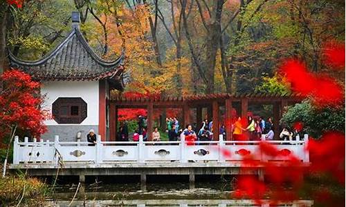 栖霞山景区门票_栖霞山景区门票价格