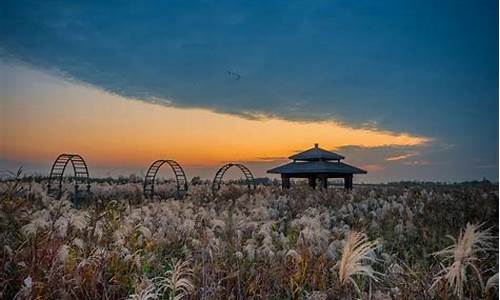 杭州湾湿地公园_杭州湾湿地公园游玩攻略