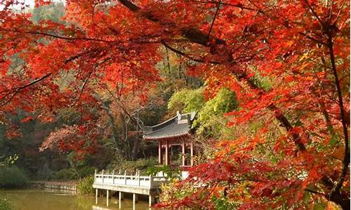 南京栖霞山景点介绍_南京栖霞山景点介绍图片