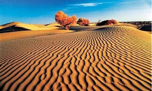 塔克拉玛干沙漠在哪_塔克拉玛干沙漠在哪里