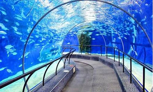上海有几个水族馆_上海有几个水族馆?哪个水族馆好玩?