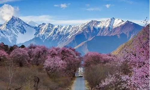 西藏林芝旅游攻略_西藏林芝旅游攻略自由行路线