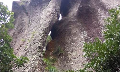 瑞云山森林公园白蚁_瑞云山风景区