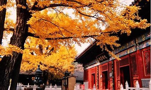 红螺寺景区天气_红螺寺景区天气预报