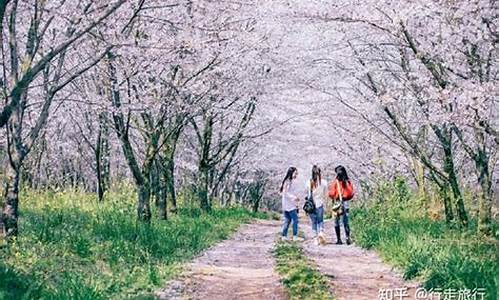 春季旅游景点排行_春季旅游景点排行榜前十名有哪些