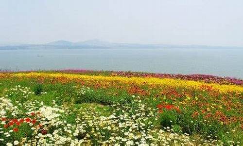 日照花仙子风景区门票_日照花仙子风景区门票多少钱